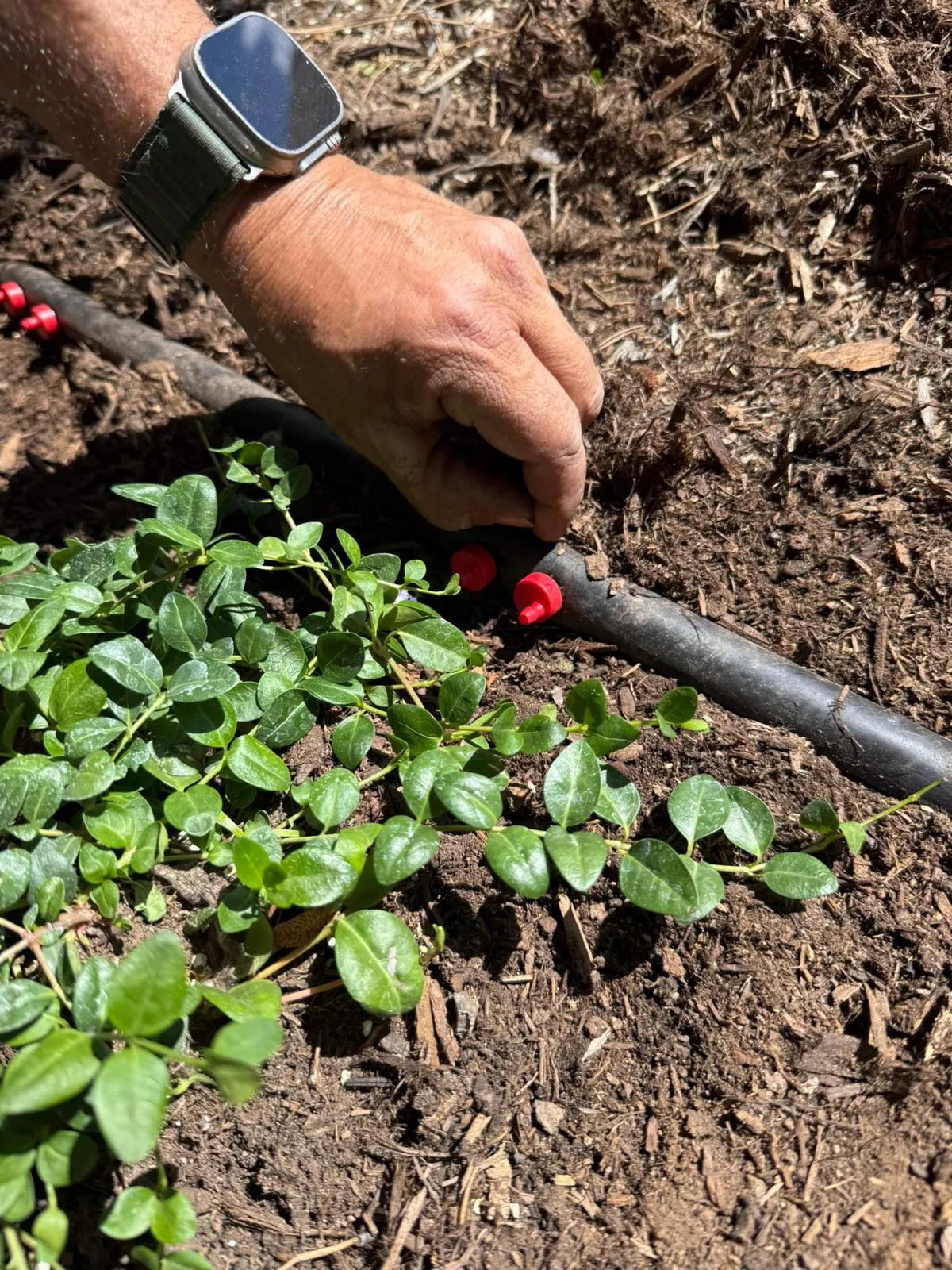 WhatsApp-Image-2025-06-20-at-08.55.35-1