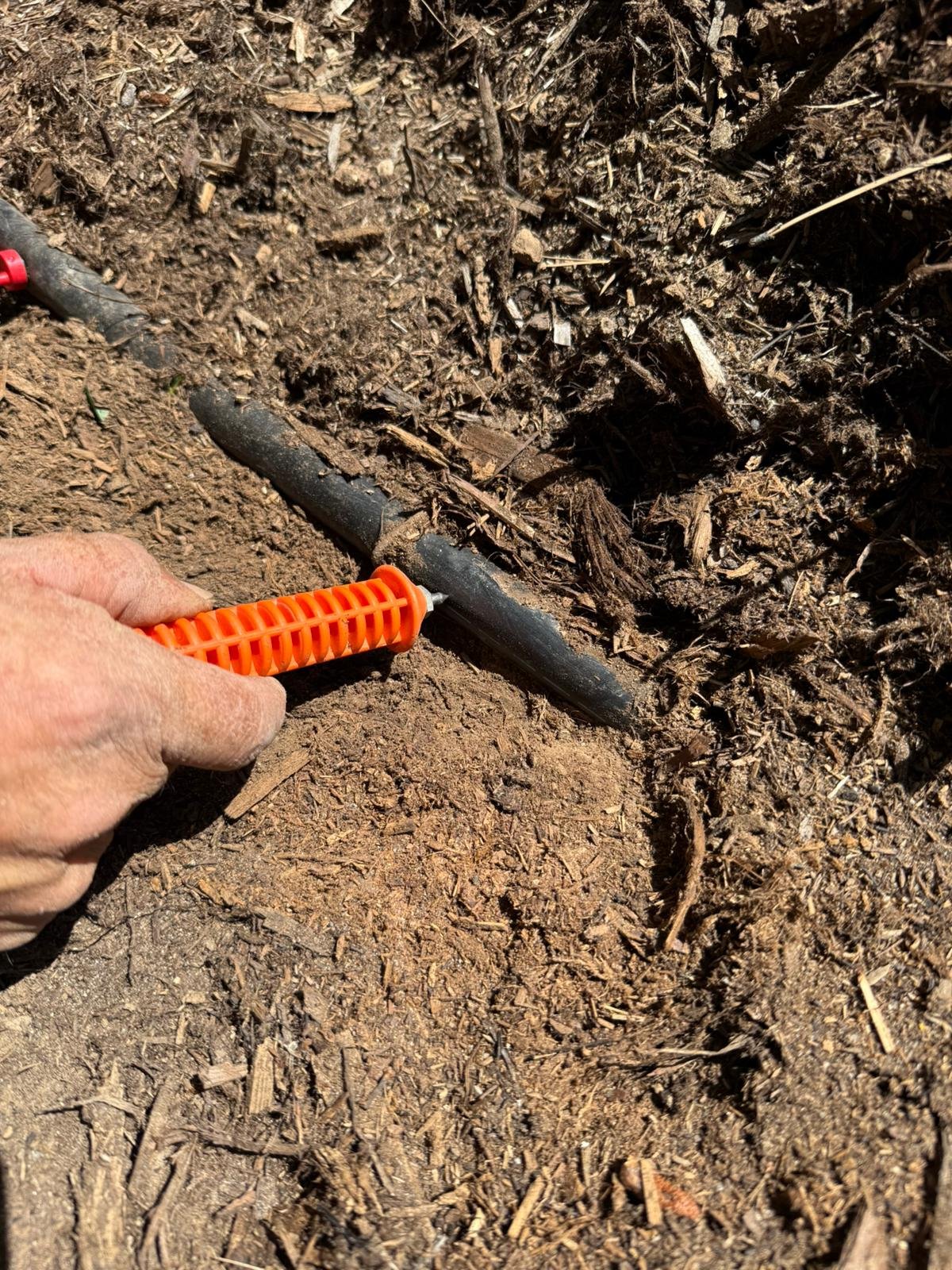 WhatsApp-Image-2025-06-20-at-08.55.35