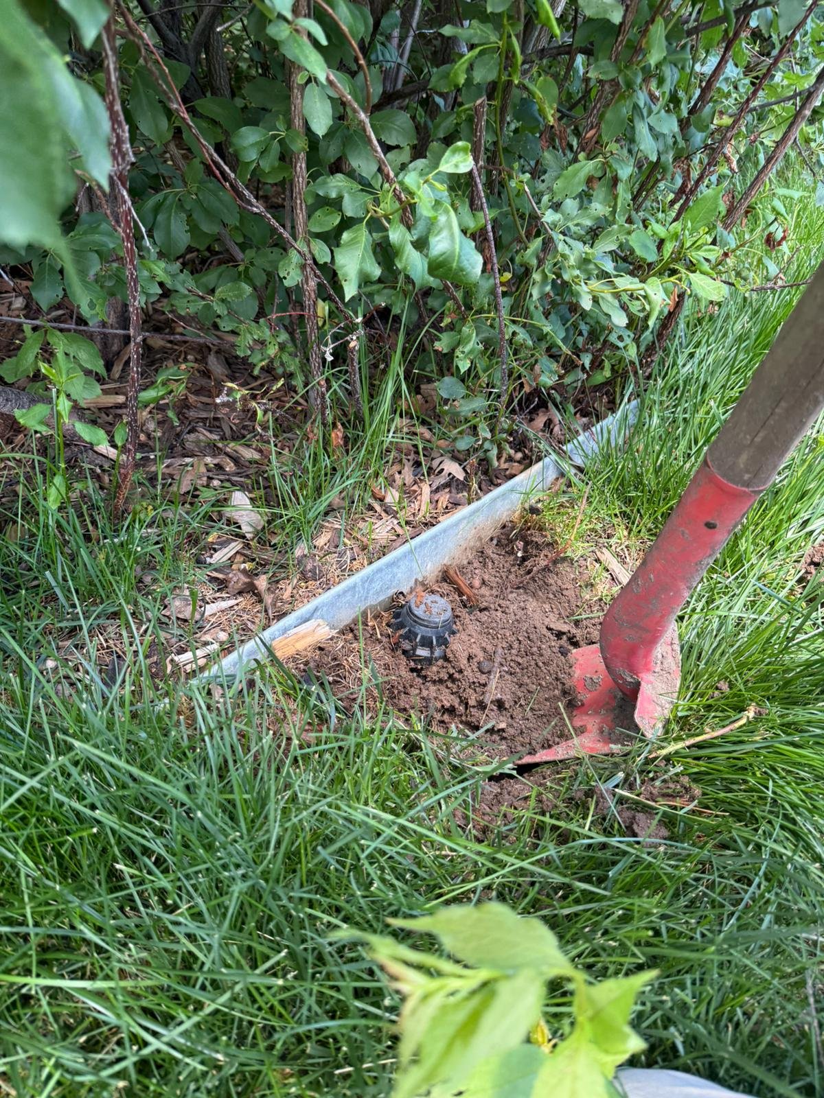 WhatsApp-Image-2025-06-20-at-08.55.36-1