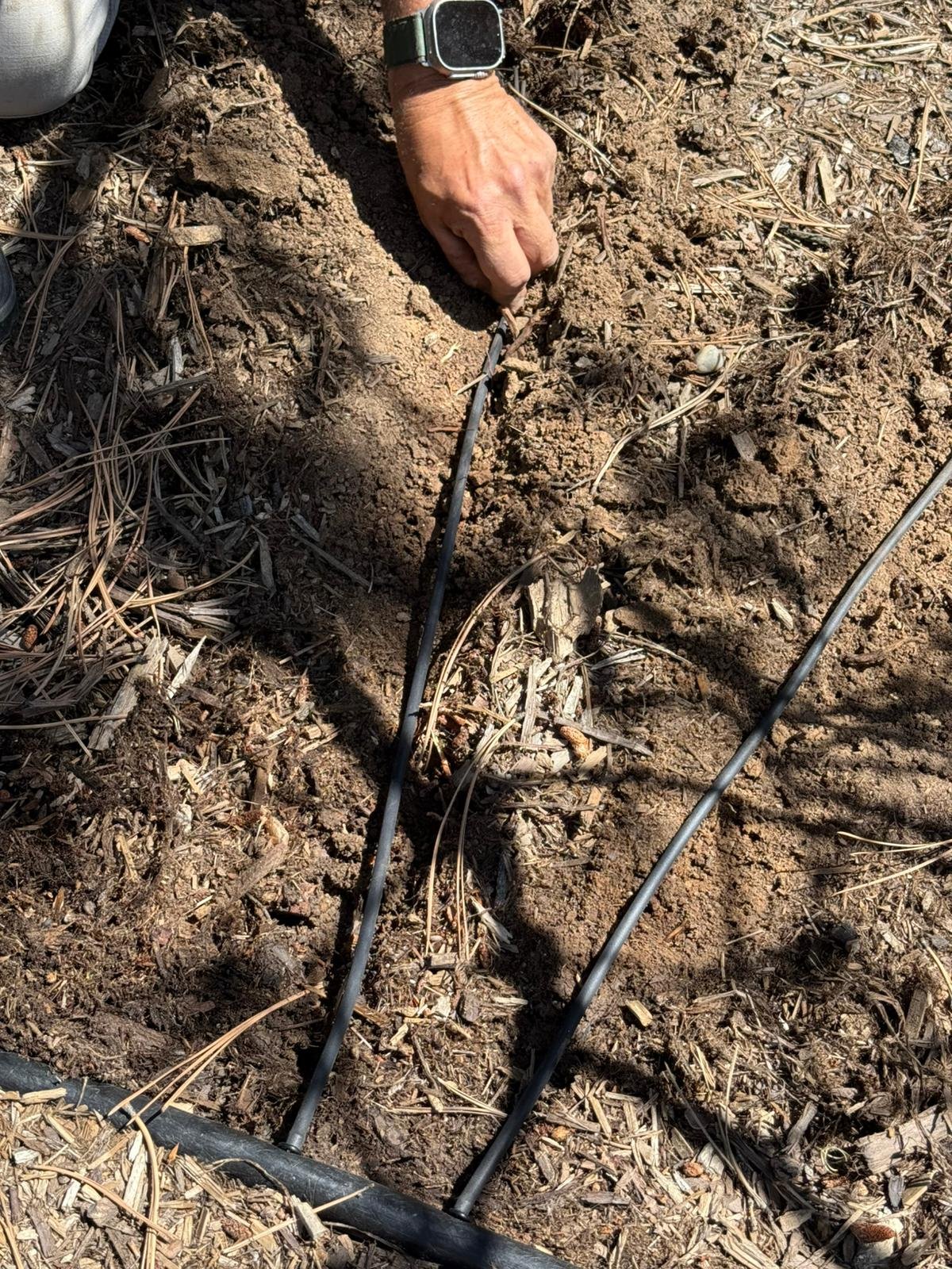 WhatsApp-Image-2025-06-20-at-08.55.36