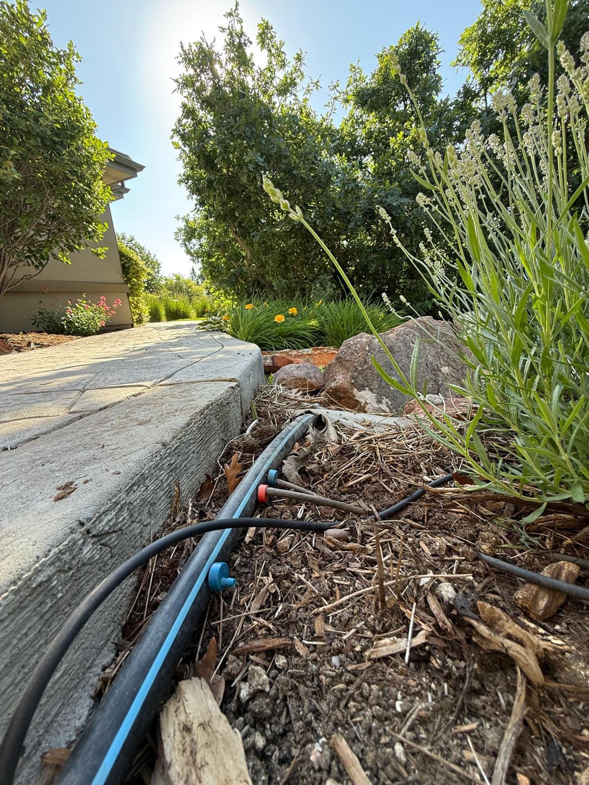 WhatsApp-Image-2025-06-20-at-10.57.22-8