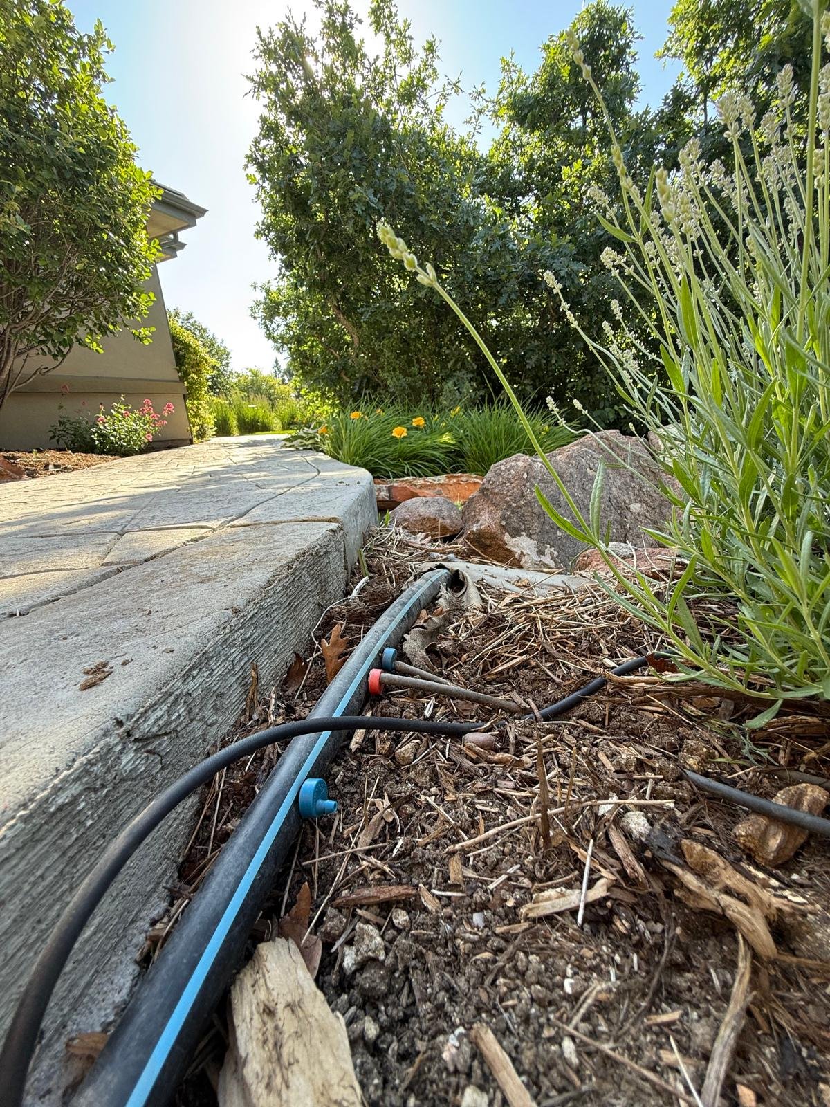 WhatsApp-Image-2025-06-20-at-10.57.22-9